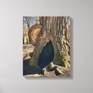 Toile The Curious Hollow 11 x 14 becomes Le Creux Curieu