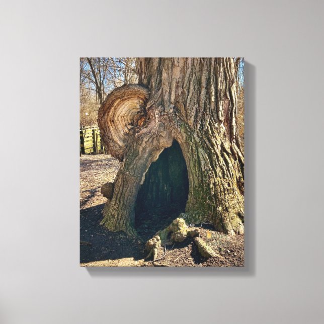 Toile The Curious Hollow 11 x 14 becomes Le Creux Curieu (Recto)