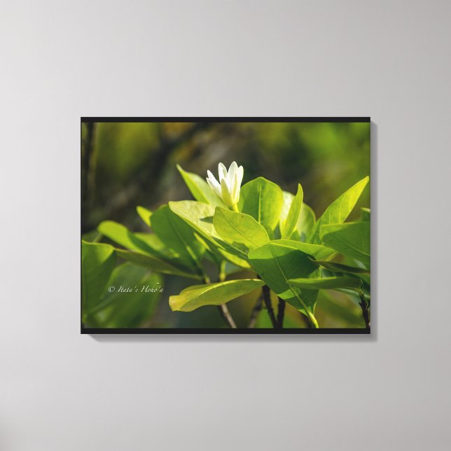 Toile "Tiare Tahiti" photographie Itata'e Hoho'a  (Recto)