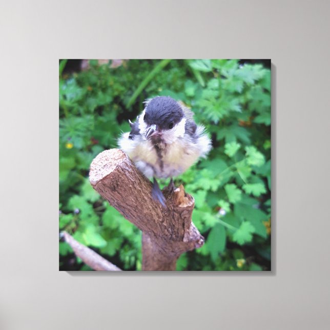 Toile Tidi my Bird le Parus Major (Recto)