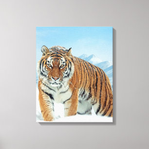 Toile Tiger hiver Montagnes de neige Nature Photo Canvas