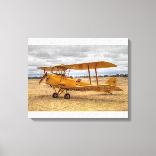 Toile Tiger Moth (Recto)