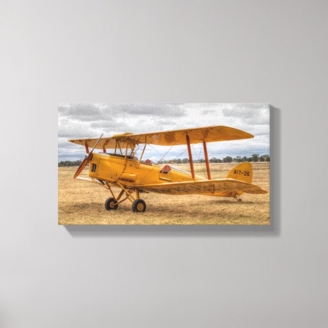 Toile Tiger Moth (Recto)