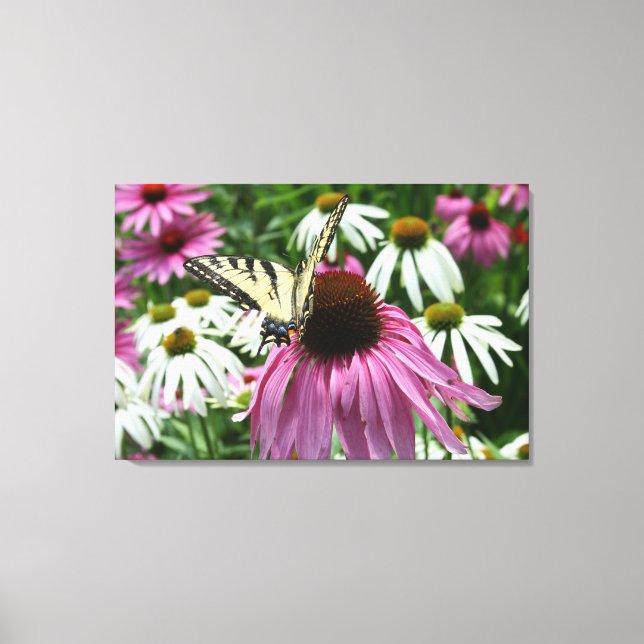 Toile Tiger Swallowtail Papillon Flower Canvas Print (Recto)