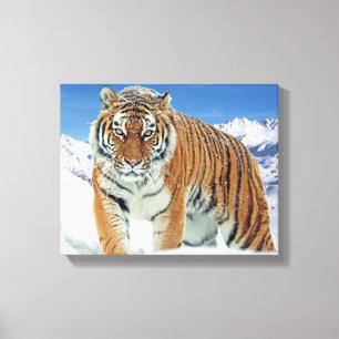 Toile Tiger Winter Nature Photo Montagnes de Neige tenda