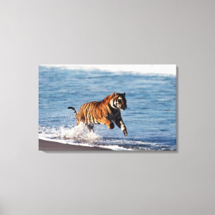 Toile Tigre du Bengale (Panthera Tigris)