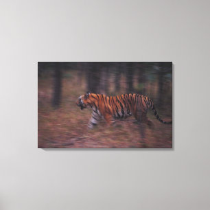Toile Tigre marchant par la forêt