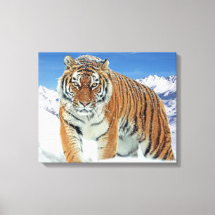 Toile Tigre tendance hiver Nature Photo Montagnes de Nei