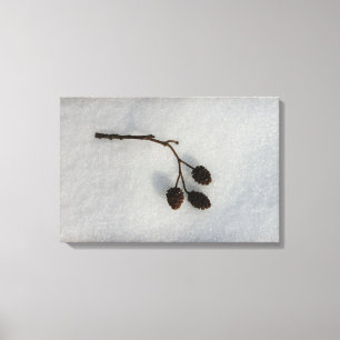 Toile tombé dans la neige