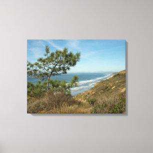Toile Torrey Pine and California Coastline Landscape