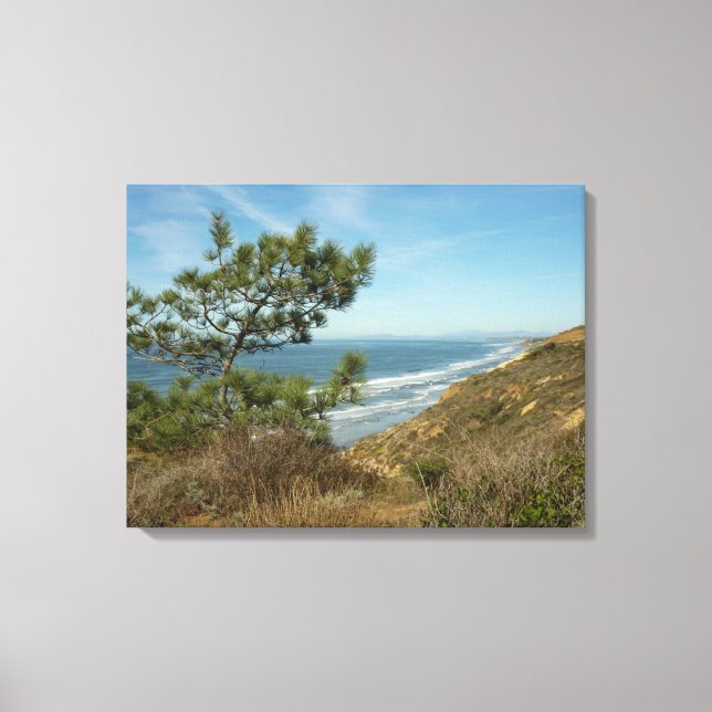Toile Torrey Pine and California Coastline Landscape (Recto)