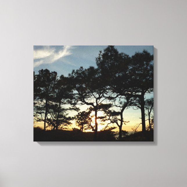 Toile Torrey Pine Sunset II Californie Paysage (Recto)