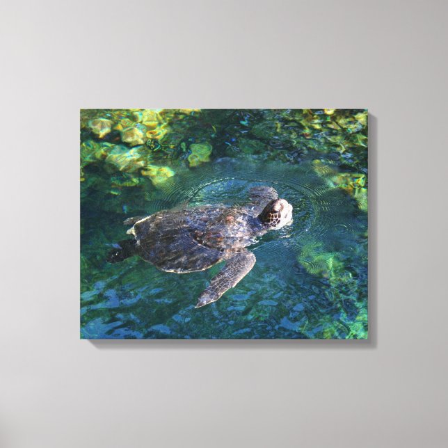 Toile Tortue Art-Mer (Recto)