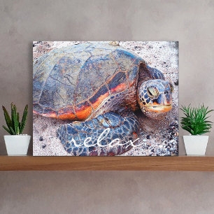 Toile Tortue de mer de Hawaï sur la plage Photo de près