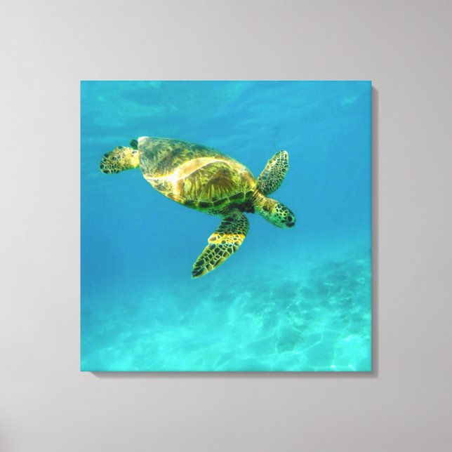Toile Tortue de mer nageant dans l'eau turquoise de l'oc (Recto)