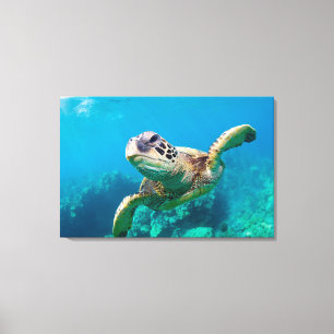 Toile Tortue de mer verte nageant au-dessus du récif