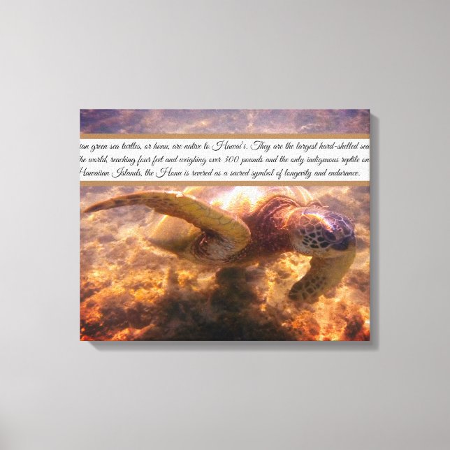Toile Tortue hawaïenne (Recto)