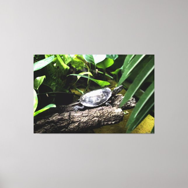 Toile Tortue sur une bûche (Recto)