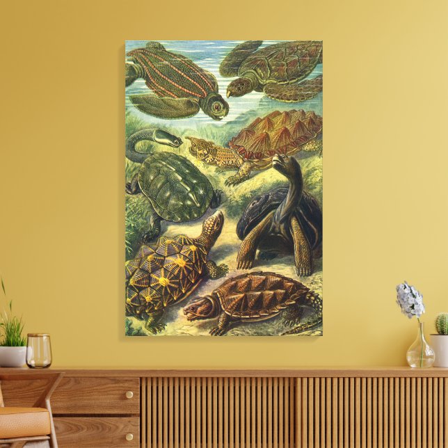 Toile Tortues anciennes et tortues marines par Ernst Hae (Insitu(Salon))