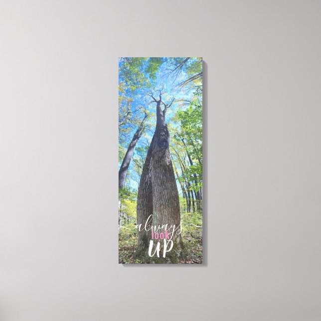 Toile Toujours regarder vers le haut ciel d'automne et i (Recto)