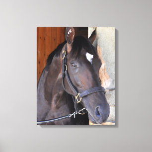 Toile Toujours rêver