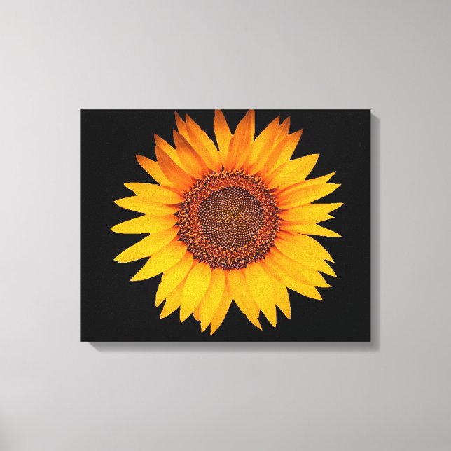 Toile Tournesol (Recto)