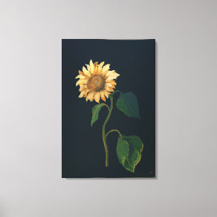 Toile Tournesol