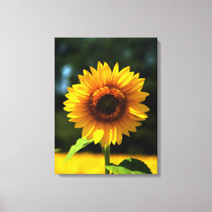 Toile Tournesol