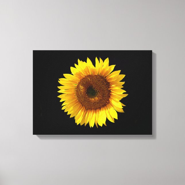 Toile Tournesol (Recto)