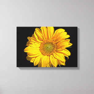 Toile Tournesol de 16,5 x 11 (41,25 x 27,5 cm) waccn