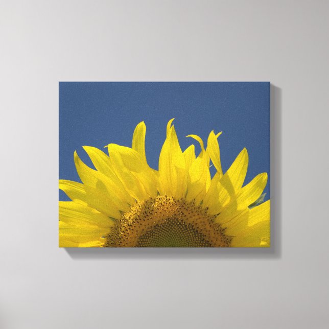 Toile Tournesol en hausse (Recto)