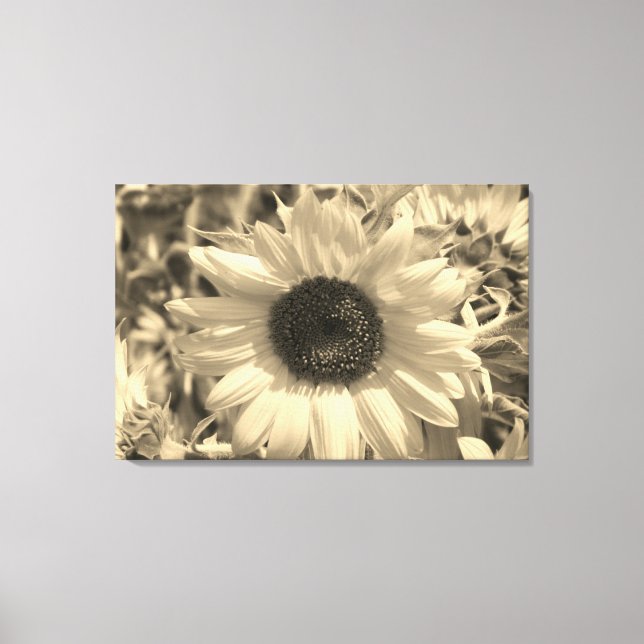 Toile Tournesol étonnant (Recto)