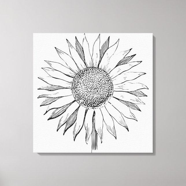 Toile Tournesol illustré (Recto)