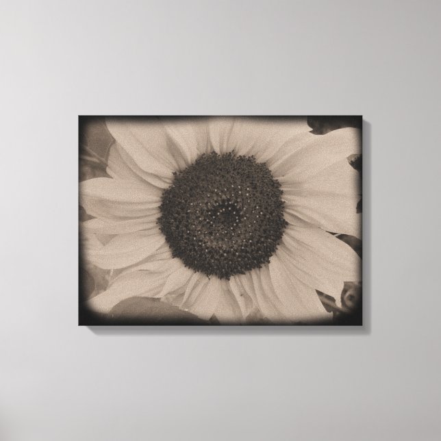 Toile Tournesol intégral en Diatrope (Recto)
