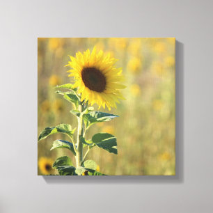Toile Tournesol jaune simple