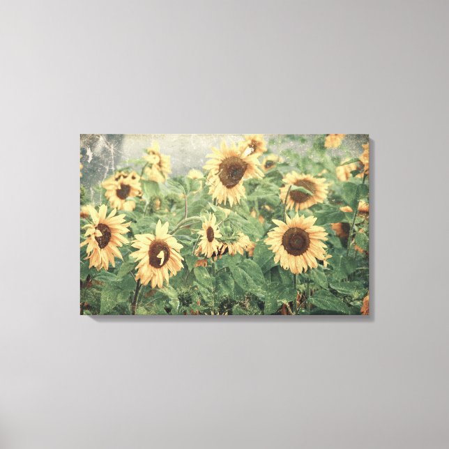Toile Tournesol Jaune Texture Vintage Art Floral (Recto)