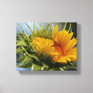Toile Tournesol naissant