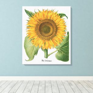 Toile Tournesol vintage par Basilius Besler