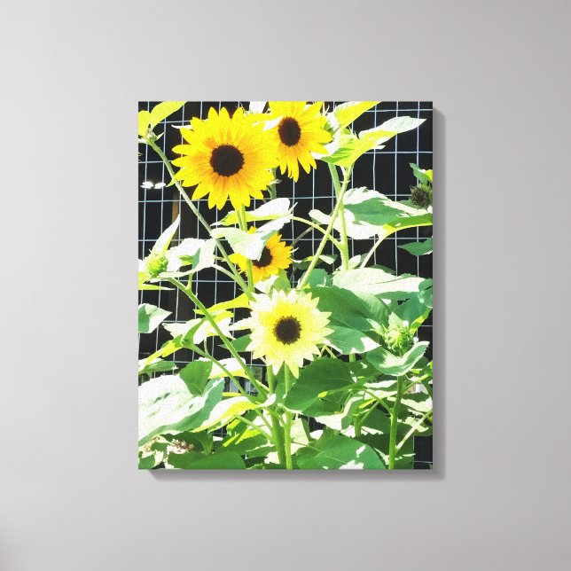 Toile Tournesols (Recto)