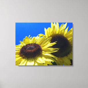 Toile Tournesols Moonwalker tendus vers le ciel