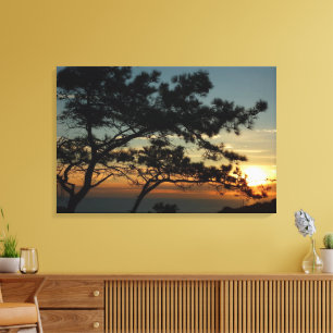 Toile Tourrey Pine Sunset I California Paysage