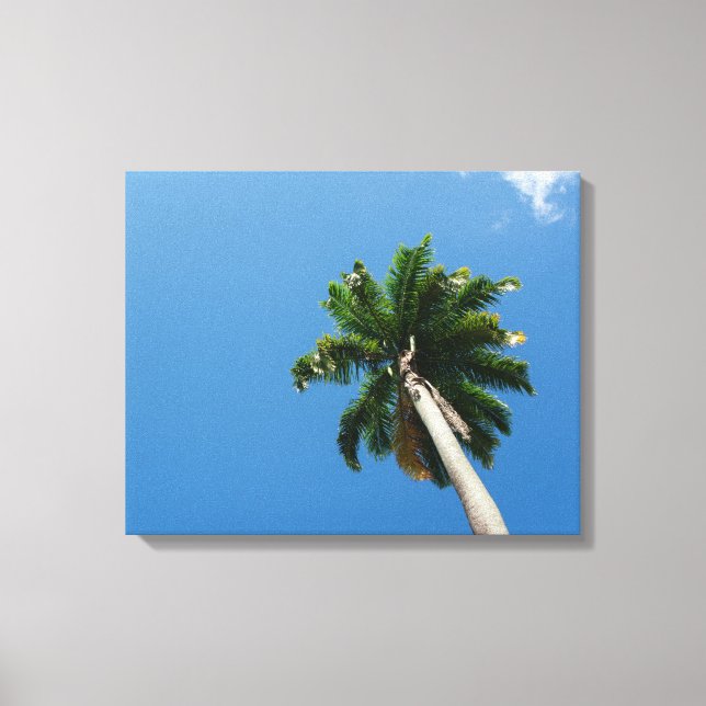 Toile Towering Tropical Palm Tree Against a Bright Sky (Recto)