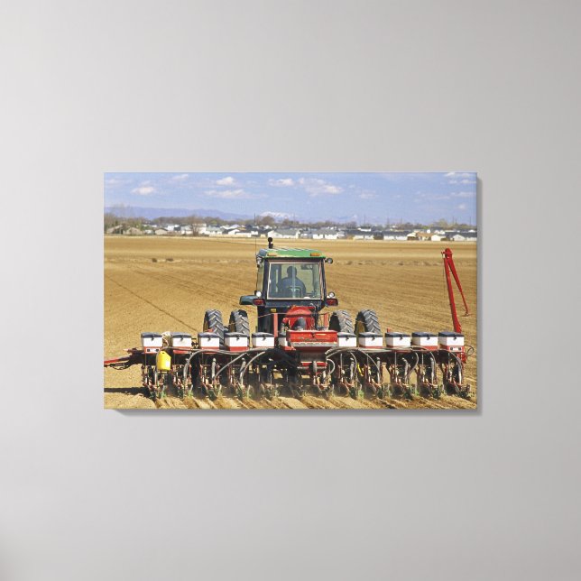 Toile Tracteur tirant un semoir de maïs semence. (Recto)