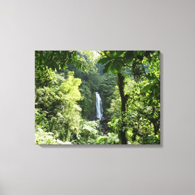 Toile Trafalgar Falls Tropical Rainforest Photographie (Recto)