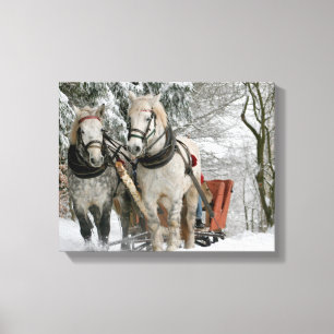 Toile traîneau+ride, neige, forêt, cheval, hiver, blanc,