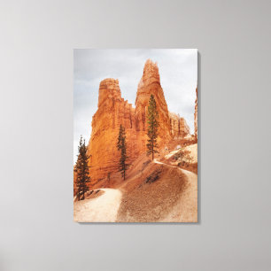 Toile Traînée de boucle de Navajo, canyon de Bryce