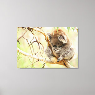 Toile TRANQUIL KOALA 24x36