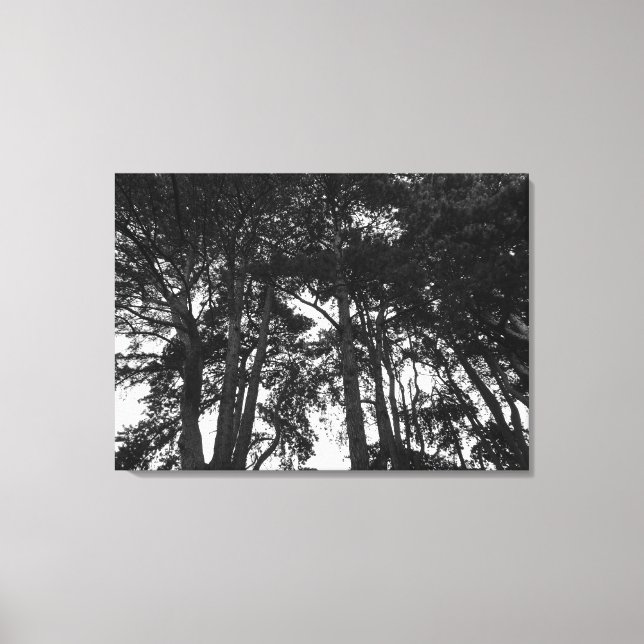 Toile Tree Canopy II, Bute Park, Cardiff