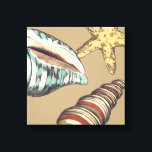 Toile Trio Shell sur Khaki<br><div class="desc">Megan Meagher est connue pour ses oeuvres d'art simples. C'est une grande image d'art décoratif qui capte la vie marine avec une étoile de mer jaune et une coquille de conque bleue et rouge. Obtenez cette impression fine d'art aujourd'hui sur couleur kaki sur votre produit Zazzle.</div>