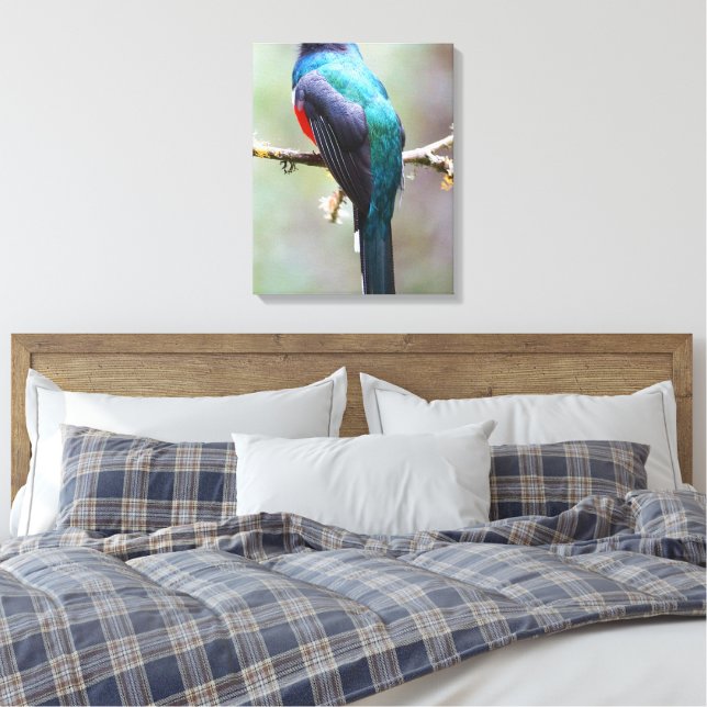 Toile Trogon masqué (Insitu(Chambre))